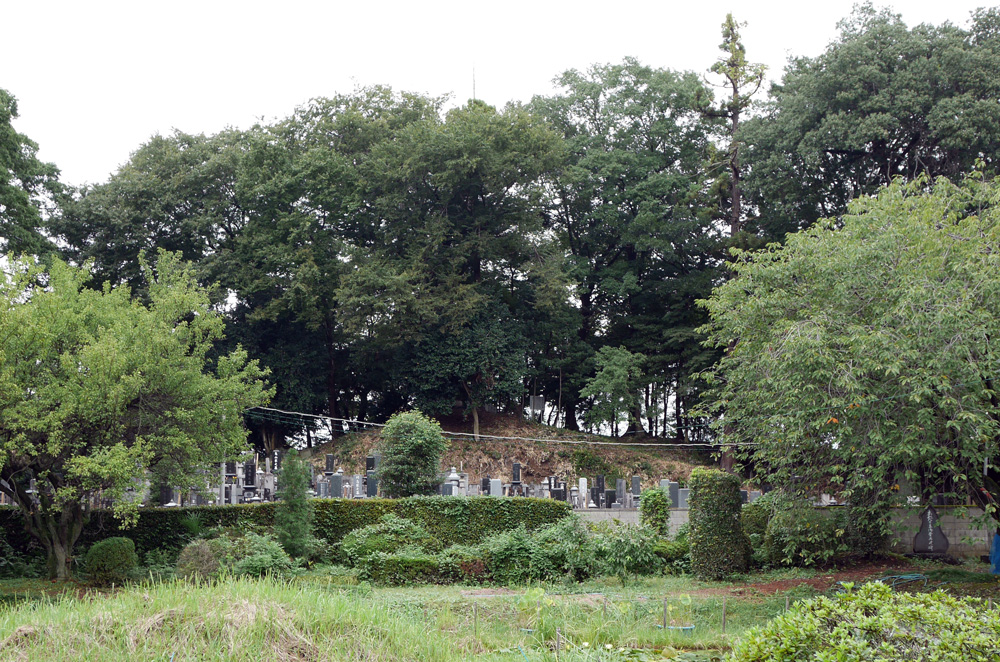 赤岩堂山古墳t